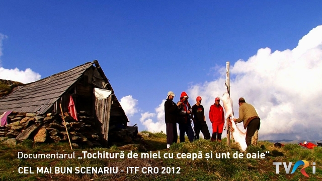 Producţie TVR premiată la Festivalul Internaţional de film ITF CRO 2012