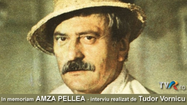 In memoriam AMZA PELLEA