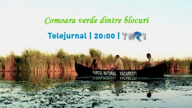 Comoara verde dintre blocuri – noua campanie a Ştirilor TVR