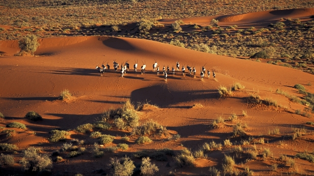 Namibia şi Brazilia, subiectele săptămânii în seria de documentare „360° GEO” 