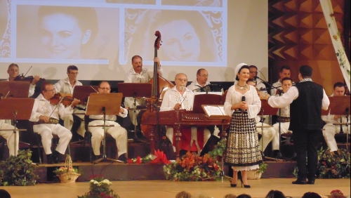 Invitaţi speciali în Festivalul „Mariana Draghicescu” – Timişoara 2015
