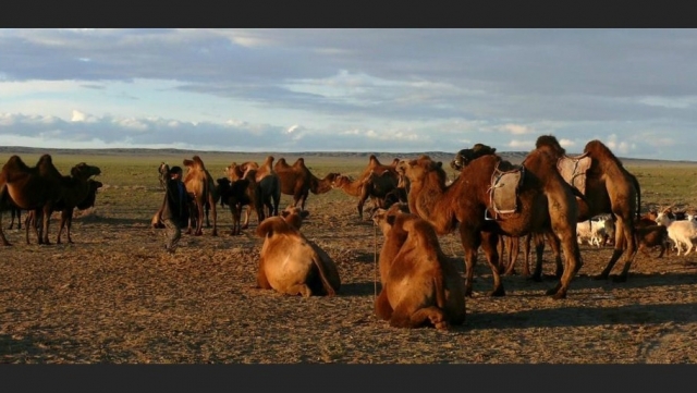 Documentarele 360°-Géo ne poartă prin Vietnam, Iran şi Mongolia