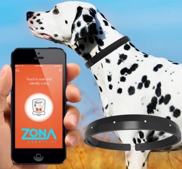 Dispozitive deştepte şi aplicaţii noi, la Zon@ IT