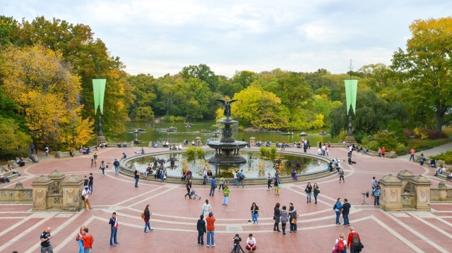 Un sfârșit de săptămână prin Central Park, doar la TVR 2