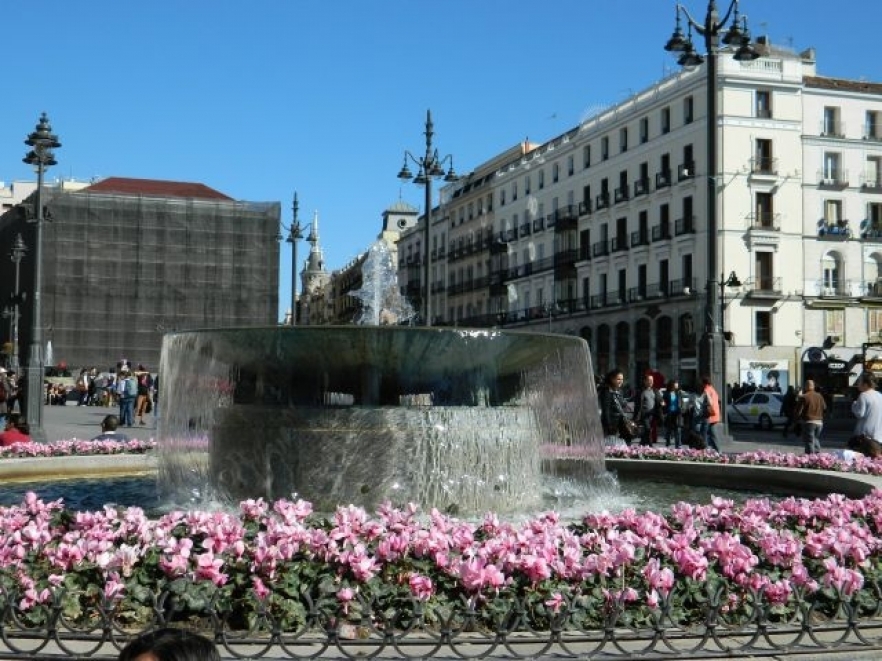 (w882) 7 Madrid
