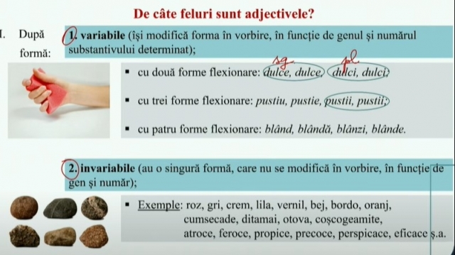 TELEȘCOALA: Română, a VIII-a - Adjectivul (I) | VIDEO