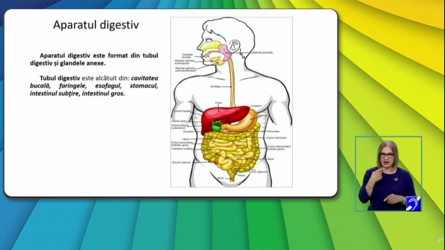 TELEȘCOALA: Biologie, a XII-a, Funcțiile de nutriție: digestia și absorbția| VIDEO
