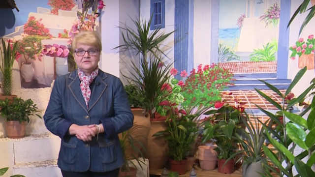 Concursuri pentru cei care petrec duminica „În grădina Danei”