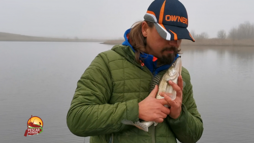 „Pescar hoinar”: despre șalăi mofturoşi și crapi pofticioşi... | VIDEO