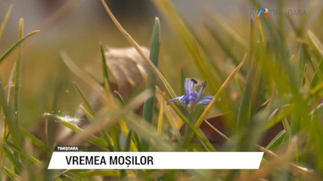 Vremea moșilor | VIDEO