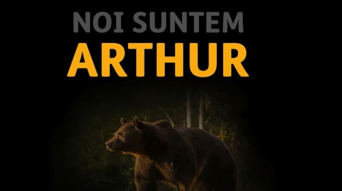 Întrebări după moartea ursului Arthur, la 