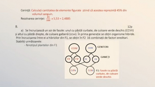 Tele Coala Biologie A Xii A Rezolvarea Testului De Antrenament Nr