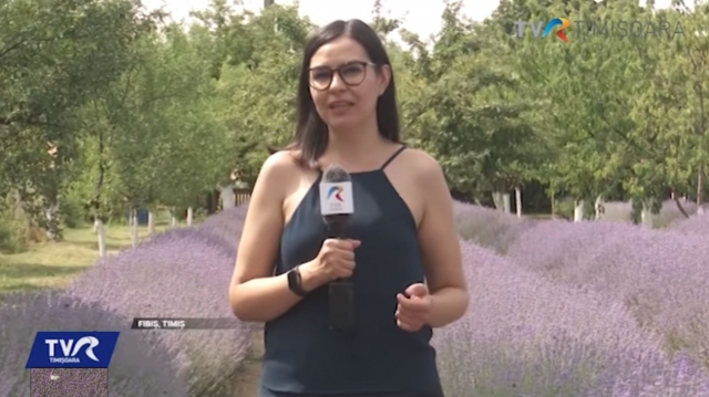 Lavanda de la țară | VIDEO