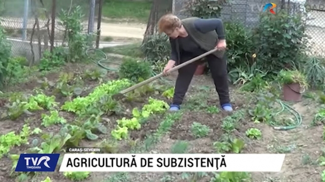 Agricultura de subzistență revine| VIDEO