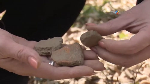 Jdioara: Așezarea dacică descoperită de furnici | VIDEO