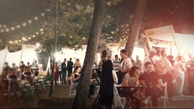 Festivalul vinurilor | VIDEO