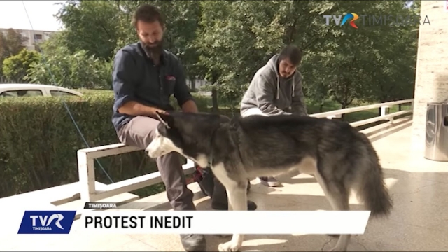 Protest inedit al unui dramaturg din Timișoara | VIDEO