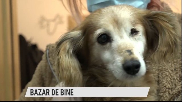 Bazar de bine la Cluj-Napoca | VIDEO