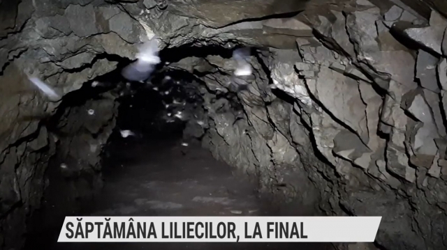 Săptămâna Liliecilor, la final | VIDEO