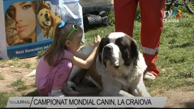 Campionat Mondial Canin, la Craiova | VIDEO