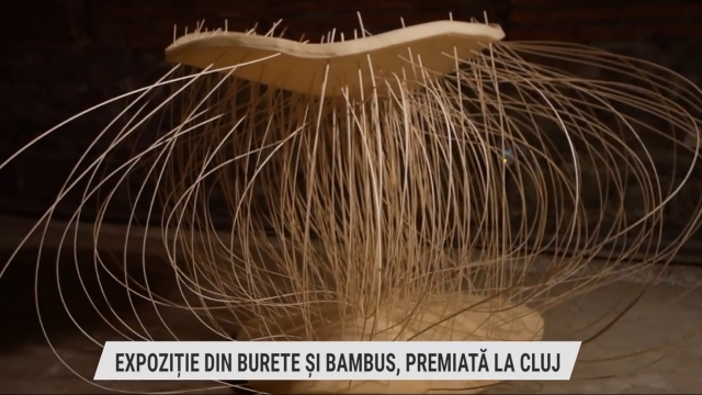 Expoziție din burete și bambus, premiată la Cluj | VIDEO