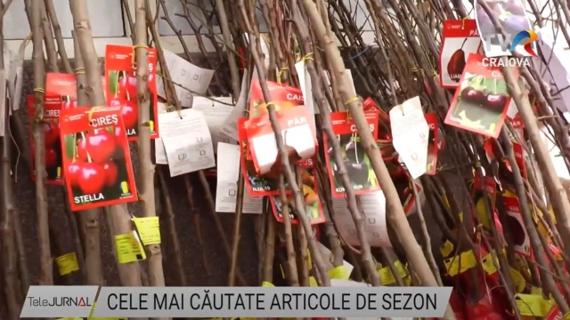 Cele mai căutate articole de sezon | VIDEO