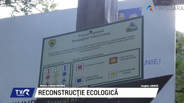 Reconstrucție ecologică în Domogled-Valea Cernei | VIDEO