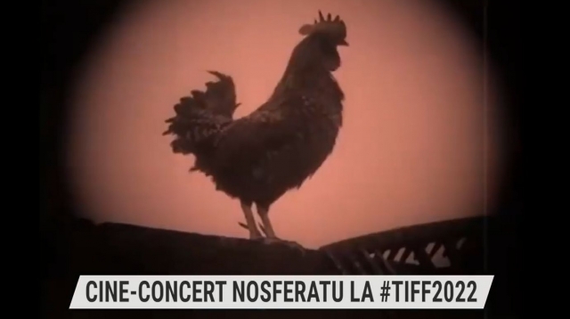 Cine-concert 