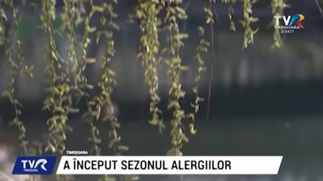 A început sezonul alergiilor | VIDEO