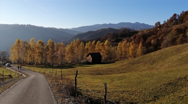 În căutarea stării de ACASĂ | VIDEO