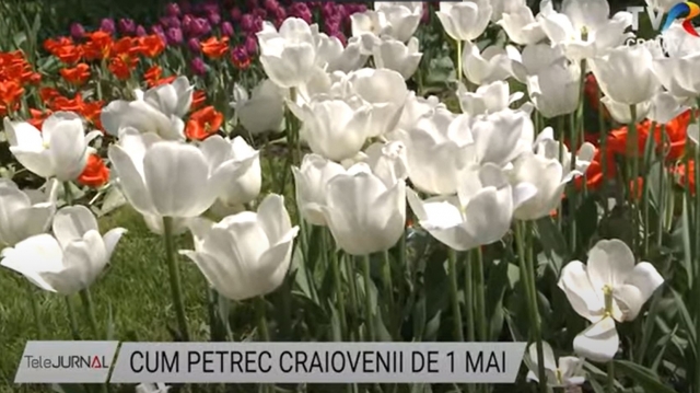 Cum petrec craiovenii de 1 Mai | VIDEO