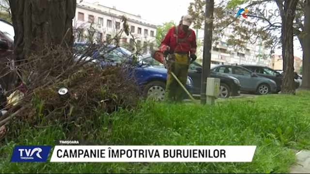 Campanie împotriva buruienilor | VIDEO