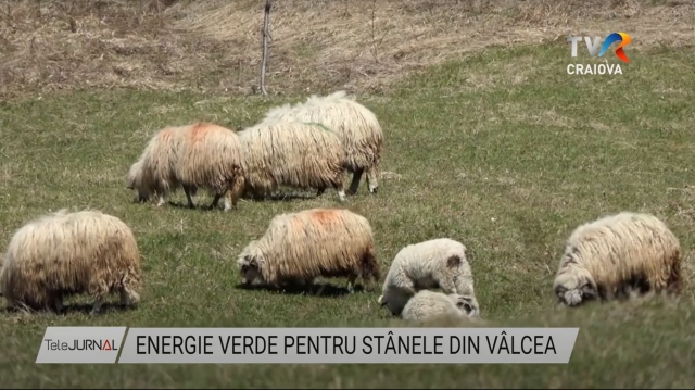 Energie verde pentru stânele din Vâlcea | VIDEO