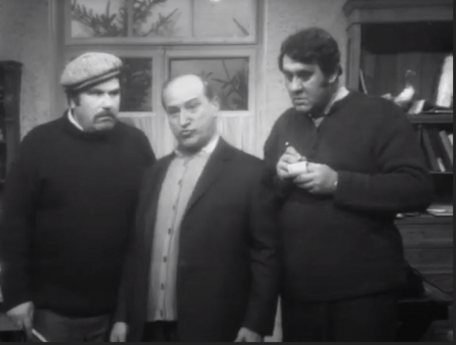 DOUĂ VIZITE LA MALU - Radu Panamarenco Ștefan Mihăilescu Brăila Jorj Voicu