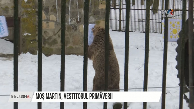 Moș Martin, vestitorul primăverii | VIDEO