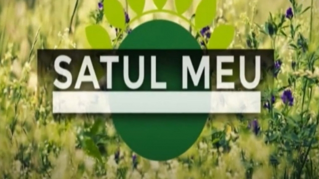 Satul meu