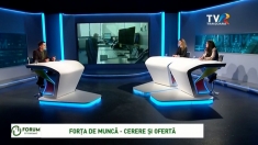 Forța de muncă: cerere și ofertă | VIDEO