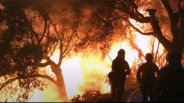 Mega-incendiile, o ameninţare globală – documentar în premieră la TVR 1 | VIDEO
