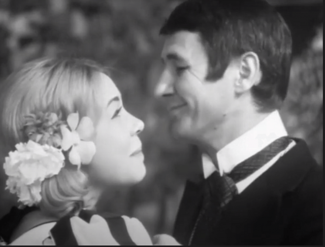 BUNĂ SEARA DOMNULE WILDE - Melania Cârje Ștefan Iordache