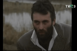 PAVILIONUL CU UMBRE - Claudiu Stănescu