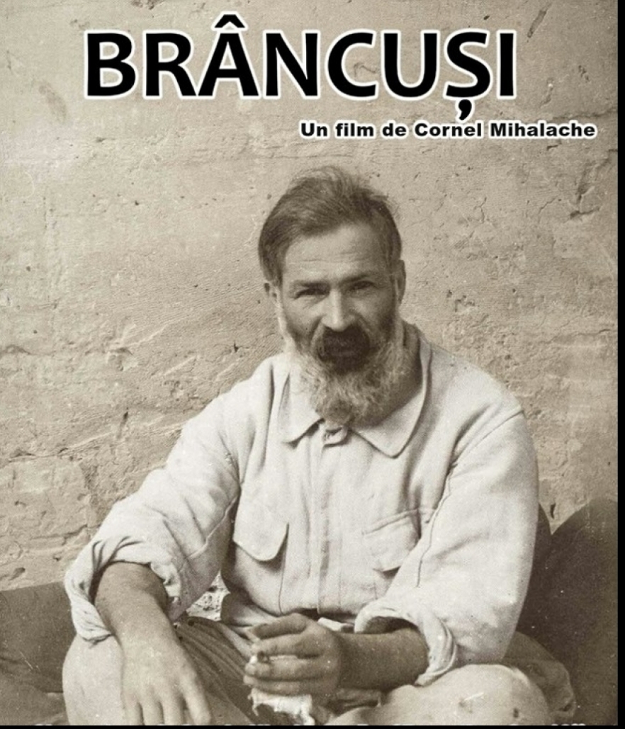 (w882) BrÃ¢ncuÈ™i