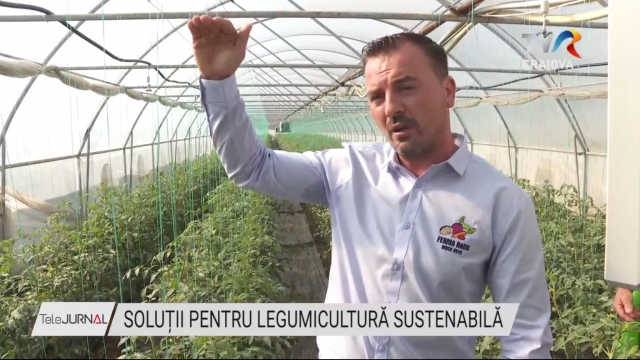 Soluții pentru legumicultura sustenabilă | VIDEO