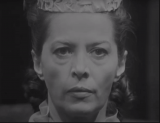CRONICA DE LA PLEVNA - Margareta Pogonat