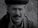 O VARĂ CUM N-A MAI FOST ALTA - Constantin Diplan