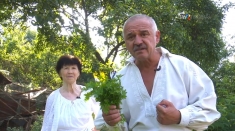 Rețetă de pesto cu pătrunjel | VIDEO