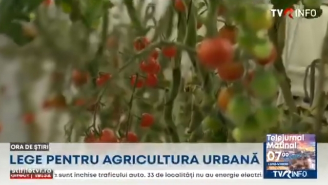 Lege pentru agricultura urbană | VIDEO