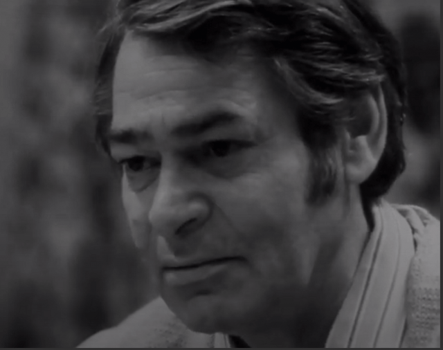 LA PORȚILE SEVERINULUI - Vasile Nițulescu