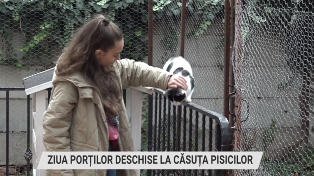 Ziua Porților Deschise la Căsuța Pisicilor | VIDEO