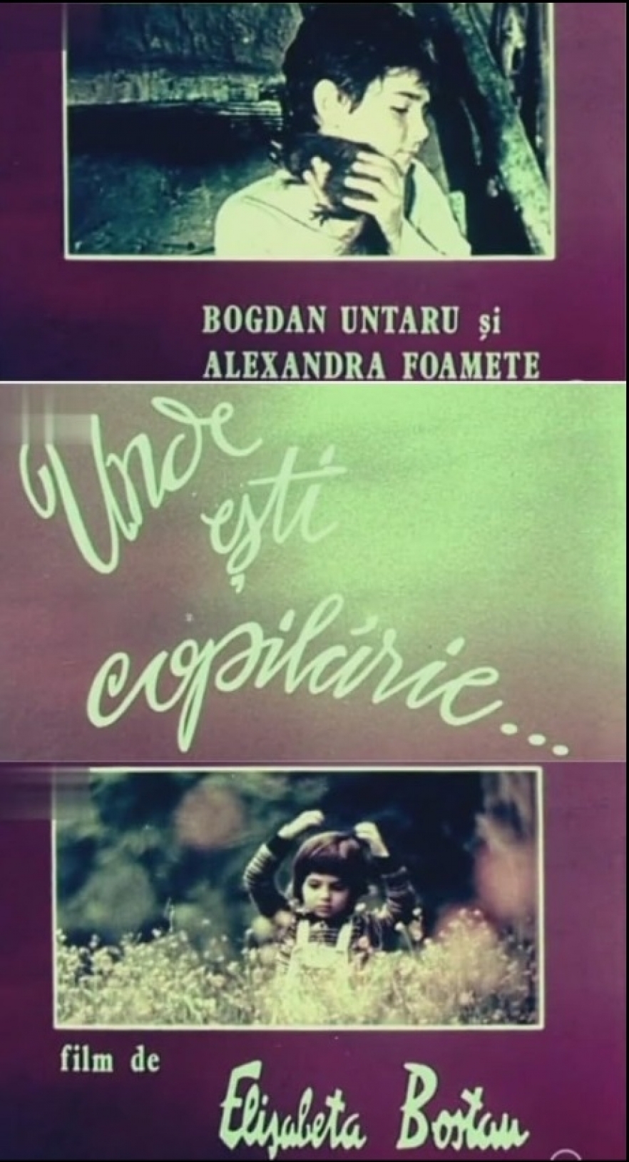 (w882) Unde eÈ™ti