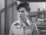 VREMEA SÂNZIENELOR - Mihaela Murgu